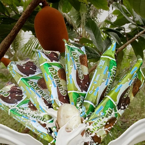 Sorvete no palito de coco branco
